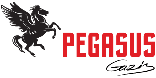 Pegasus — Gazis Group